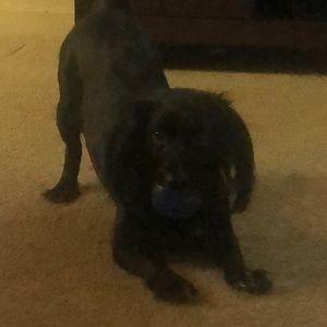 Meet your Posher, Felipe